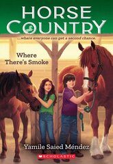 Where There's Smoke цена и информация | Книги для подростков и молодежи | 220.lv