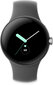 Google Pixel Watch Polished Silver/Charcoal цена и информация | Viedpulksteņi (smartwatch) | 220.lv