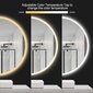 LED spogulis Madrid 60см Bluetooth, Anti-fog, Dimmer, Color change цена и информация | Vannas istabas spoguļi | 220.lv