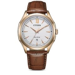 Vīriešu pulkstenis CITIZEN Eco-Drive AW1753-10A cena un informācija | Vīriešu pulksteņi | 220.lv