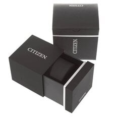 Мужские часы Citizen AW175085L цена и информация | Мужские часы | 220.lv