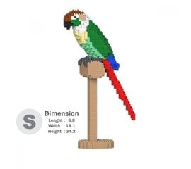 Konstruktors Jekca, ST19MA20-M01, Zaļpirkstu Sarkano Astes Papagailis, 630 gab. cena un informācija | Konstruktori | 220.lv