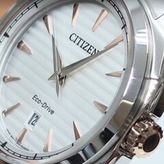 Citizen Eco-Drive AW1756-89A AW1756-89A цена и информация | Мужские часы | 220.lv