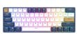 Bezvadu klaviatūra Royal Kludge RK61 Plus TKL, balts/zils cena un informācija | Klaviatūras | 220.lv