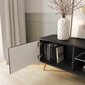 TV galdiņš Selsey Bello 135 cm, melnas/zelta krāsas cena un informācija | TV galdiņi | 220.lv