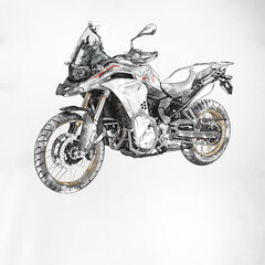 BMW F850 vīriešu motocikla t-krekls ar motociklu 1654-7 цена и информация | Мужские футболки | 220.lv