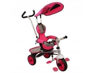 Daudzfunkcionāls trīsritenis Baby Mix, rozā цена и информация | Трехколесные велосипеды | 220.lv