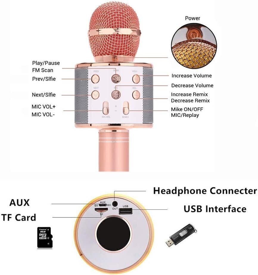 Karaoke mikrofons/skaļrunis ar balss maiņas efektiem Perf WS-858 цена и информация | Attīstošās rotaļlietas | 220.lv