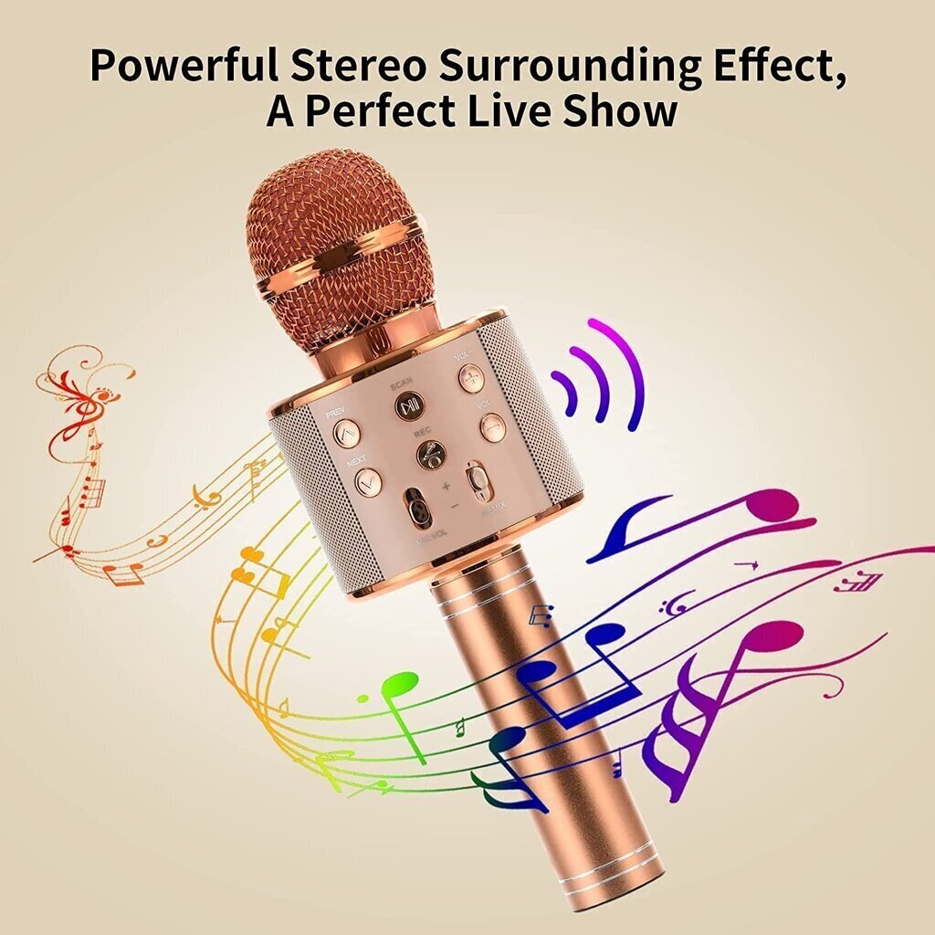 Karaoke mikrofons/skaļrunis ar balss maiņas efektiem Perf WS-858 цена и информация | Attīstošās rotaļlietas | 220.lv