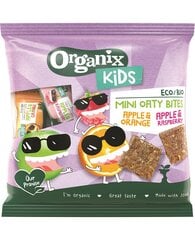 Organix Kids Eco Mini Oatmeal, 110G, 5 набор упаковки цена и информация | Закуски, напитки для детей | 220.lv