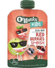 Organix Kids Rte Eco втирая красная ягода, 100 г, 6 упаковок цена и информация | Закуски, напитки для детей | 220.lv