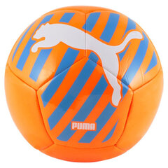 Футбольный мяч Puma big cat. размер 5 цена и информация | Футбольные мячи | 220.lv