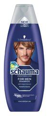 Schaum for Men Shampoo Men's Extract, 400 мл, 5 упаковочных наборов цена и информация | Шампуни | 220.lv