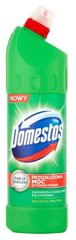 Средство для чистки унитаза Domestos Extended Power Pine 1250 мл цена и информация | Чистящие средства | 220.lv