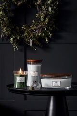 WoodWick ароматическая свеча Magnolia Birch, 275 г цена и информация | Подсвечники, свечи | 220.lv