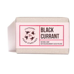 Cietā dušas želeja Four Starlings Black Currant, 110 g cena un informācija | Dušas želejas, eļļas | 220.lv