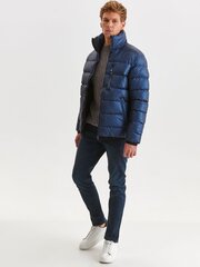 Мужская куртка Top Secret SKU1365GRS4, синяя цена и информация | Мужские куртки | 220.lv