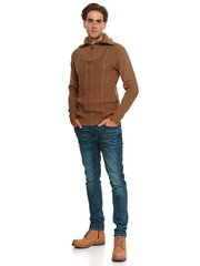 Мужской джемпер Top Secret SSW3273B5S5, коричневый цена и информация | Мужские свитера | 220.lv