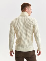 Top Secret VĪRIEŠU džemperis SSW3458KRS6 cena un informācija | Vīriešu džemperi | 220.lv
