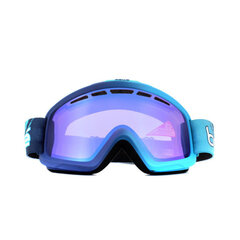 Лыжные очки Bollé NOVAII21465 цена и информация | Лыжные очки | 220.lv