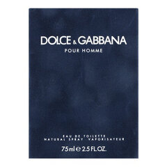 Dolce & Gabbana Pour Homme EDT vīriešiem, 75 ml цена и информация | Мужские духи | 220.lv