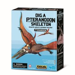 4M Izroc Pteranodons цена и информация | Развивающие игрушки | 220.lv