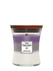 WoodWick ароматическая свеча Trilogy Amethyst Sky 275 г цена и информация | Подсвечники, свечи | 220.lv