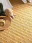 Benuta paklājs 120x170 cena un informācija | Paklāji | 220.lv