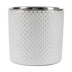 Керамический горшок GARRYA 10,5 x 8,5(B) cm, серебряный цена и информация | Ящики для рассады | 220.lv