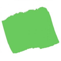 Маркер UNI Posca PC-5M цвет пастельный зеленый(5) цена и информация | Письменные принадлежности | 220.lv