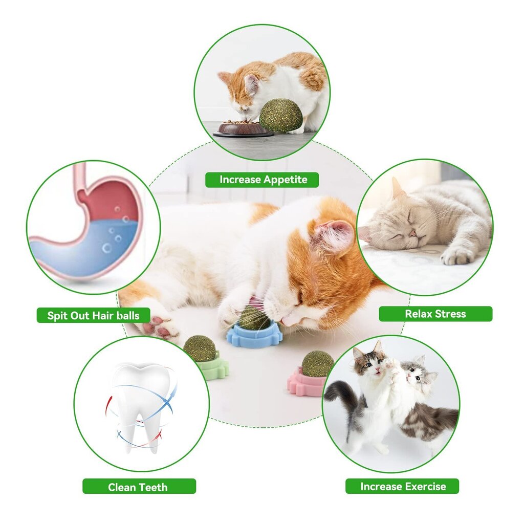 Kaķu bumbiņas pie sienas, pievieno 3 gab cena un informācija | Rotaļlietas kaķiem | 220.lv