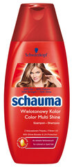 Schaum Color Glanz Shampoo для окрашенных волос 250 мл, 6 упаковочных наборов цена и информация | Шампуни | 220.lv