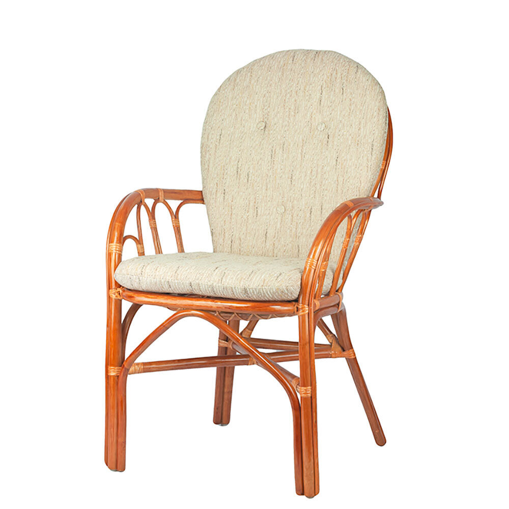 Krēsls RattaNeo Coral k141 konjaka krāsā cena un informācija | Virtuves un ēdamistabas krēsli | 220.lv