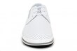 Vīriešu kurpes FERMANI 141323045025 cena un informācija | Vīriešu kurpes, zābaki | 220.lv