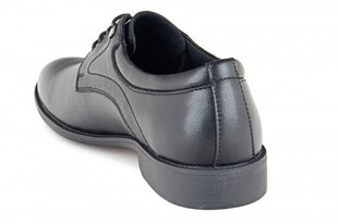 Мужские ботинки BADEN 141870045751 цена и информация | Мужские ботинки | 220.lv