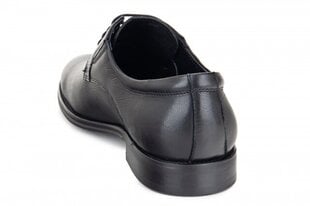 Мужские ботинки FERMANI 143775044751 цена и информация | Мужские ботинки | 220.lv