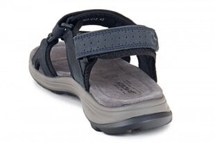 Vīriešu sandales BADEN 163012045546 cena un informācija | Vīriešu iešļūcenes, čības, sandales | 220.lv