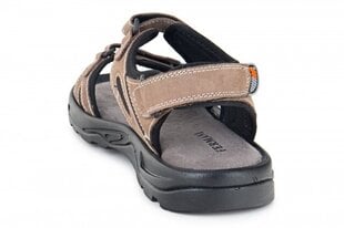 Vīriešu sandales FERMANI 163105047052 cena un informācija | Vīriešu iešļūcenes, čības, sandales | 220.lv