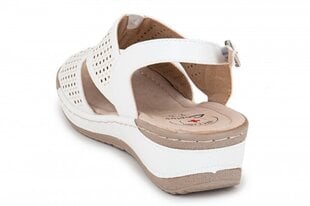 Sieviešu sandales ENPLUS 262318041025 cena un informācija | Enplus Apģērbi, apavi, aksesuāri | 220.lv
