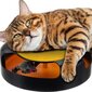 Kaķu rotaļlieta Ritenis ar peli cena un informācija | Rotaļlietas kaķiem | 220.lv