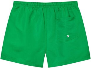 Glo Story Šorti Green MTK 3214-3 MTK 3214-3/L cena un informācija | Peldšorti, peldbikses | 220.lv