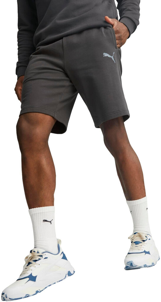 Puma Šorti Ess Better Shorts 10" Tr Grey 673295 75 673295 75/L cena un informācija | Vīriešu šorti | 220.lv