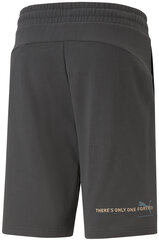 Шорты мужские Puma Ess Better Shorts 10" Tr 673295 75/L, серые цена и информация | Мужские шорты | 220.lv