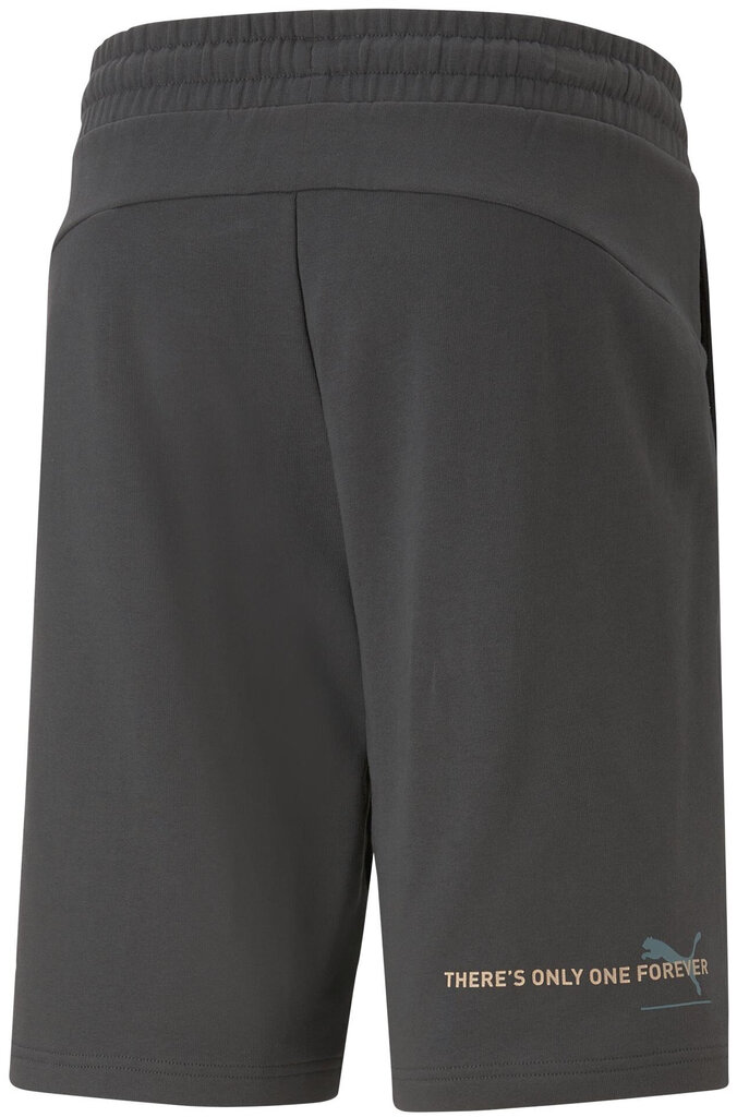 Puma Šorti Ess Better Shorts 10" Tr Grey 673295 75 673295 75/L cena un informācija | Vīriešu šorti | 220.lv