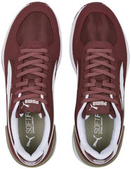 Мужские кроссовки Puma Graviton Wood 380738 29/10, бордовые цена и информация | Кроссовки для мужчин | 220.lv