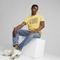 Puma T-Krekli Graphics Summer Tee Yellow 674482 40 674482 40/L цена и информация | Vīriešu T-krekli | 220.lv