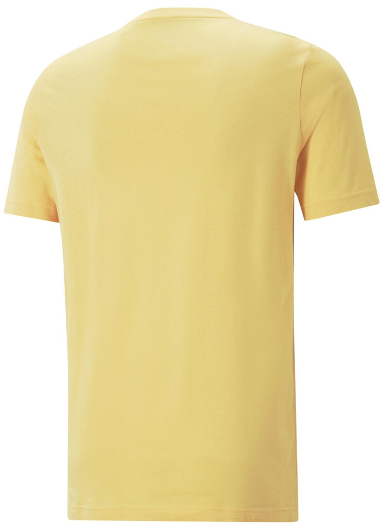 Puma T-Krekli Graphics Summer Tee Yellow 674482 40 674482 40/L цена и информация | Vīriešu T-krekli | 220.lv