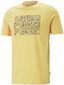 Puma T-Krekli Graphics Summer Tee Yellow 674482 40 674482 40/L цена и информация | Vīriešu T-krekli | 220.lv