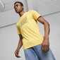 Puma T-Krekli Graphics Summer Tee Yellow 674482 40 674482 40/L цена и информация | Vīriešu T-krekli | 220.lv