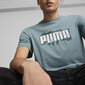 Puma T-Krekli Graphics Wording Tee Green 674475 84 674475 84/M цена и информация | Vīriešu T-krekli | 220.lv